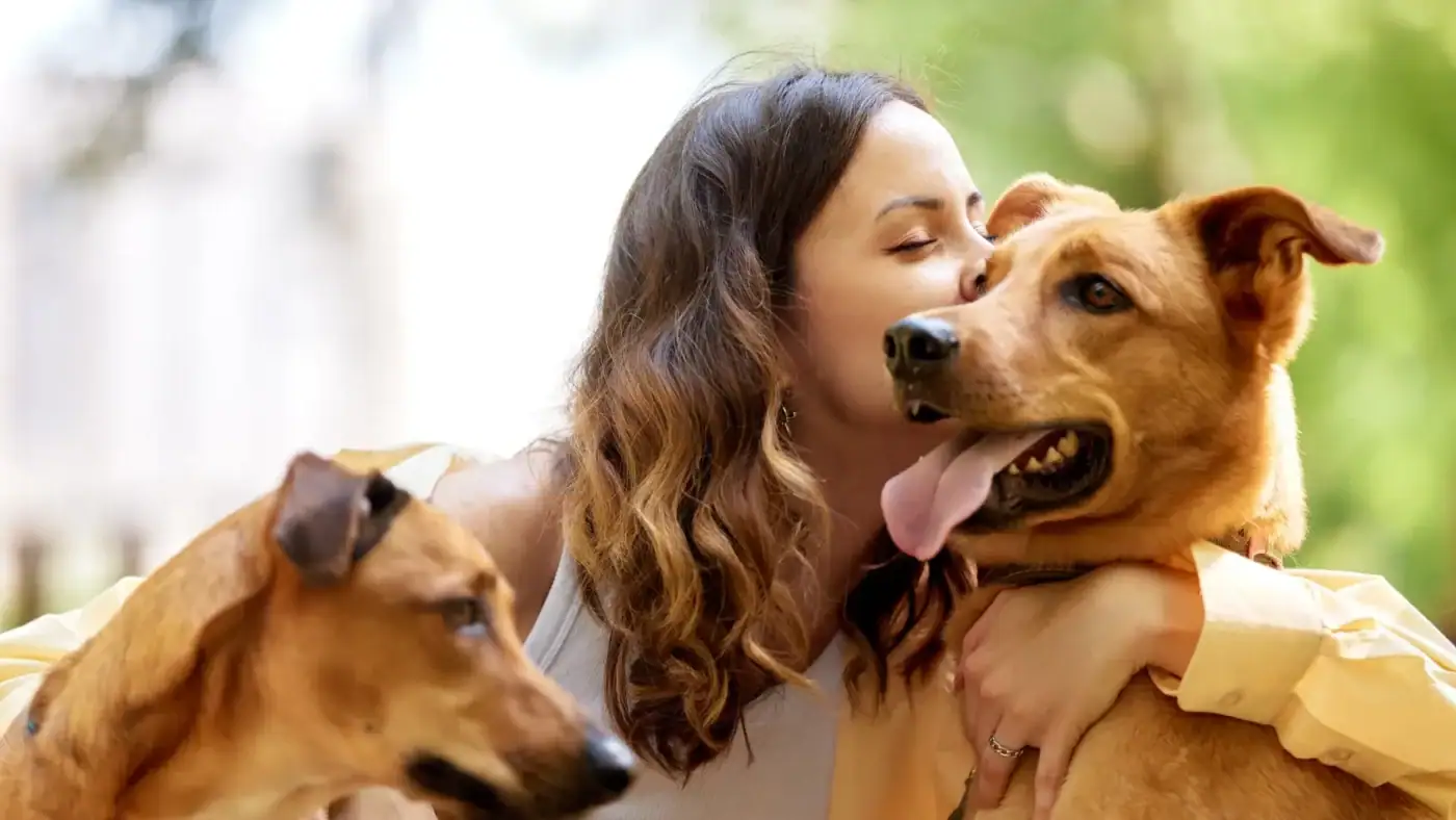 Pet store, 1,287% ROAS — case study